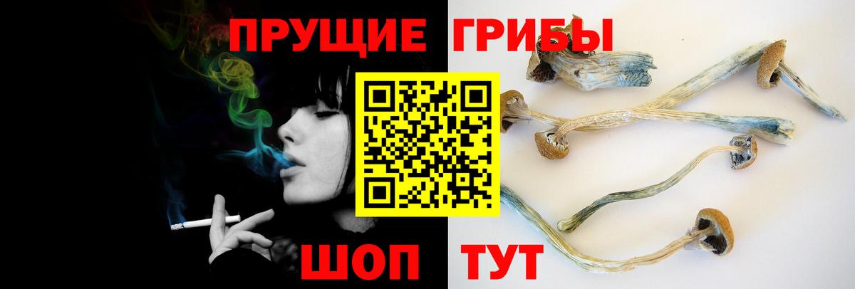 Димитровград  Псилоцибиновые грибы ЛСД  Псилоцибиновые грибы ЛСД  Вход с VPN 